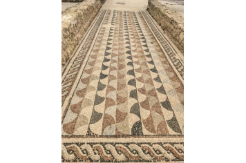Mosaïques de la villa Gallo-romaine de Séviac Office de Tourisme de la Ténarèze